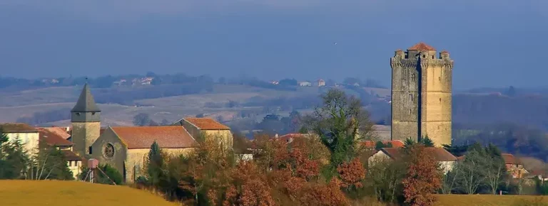 Chateau de Bassoues profile photo