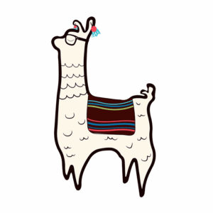 Yapa Alpaca Store